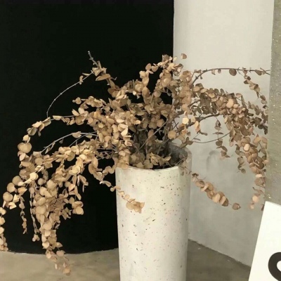 兽设线稿上色教程兽圈社群